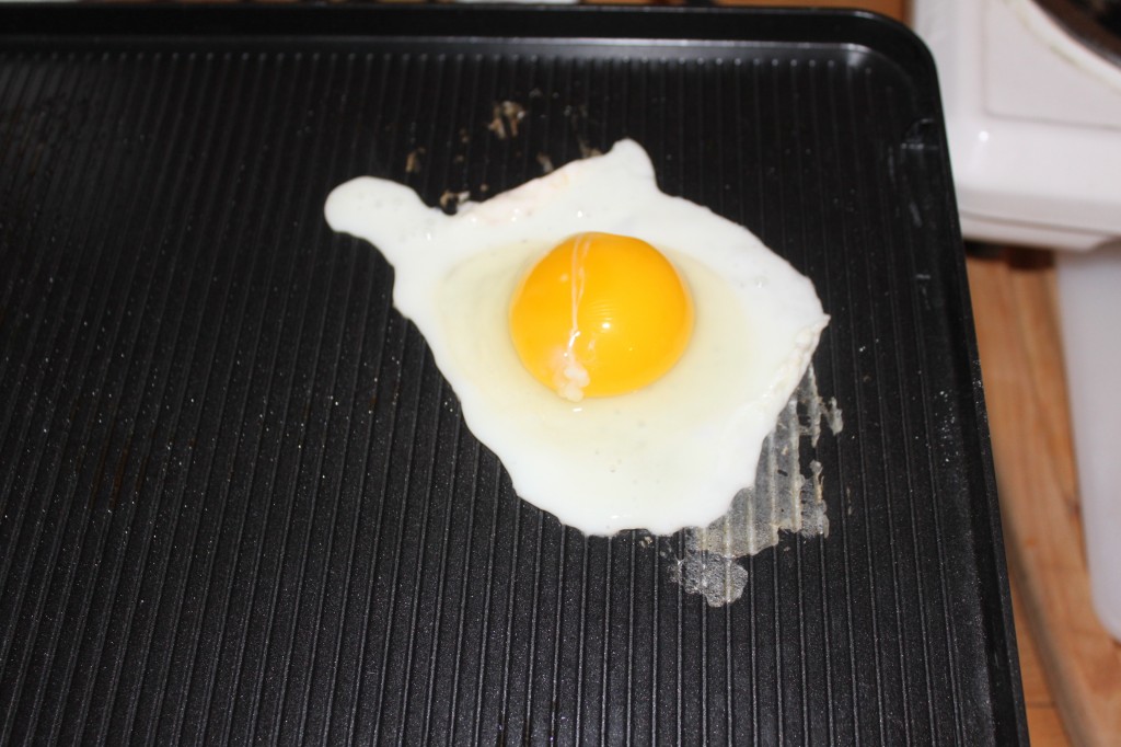 The Obligatory Fried Egg